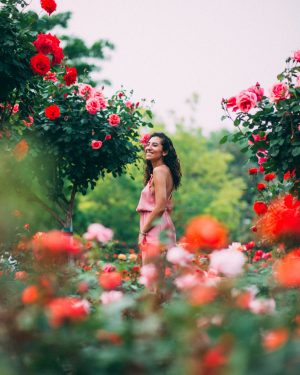 women pink dress around roses during spring
